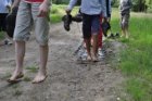 bf_imageagenda_stage_terre1_250px.JPG