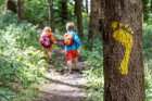 bf_imageimage_bf_imageFotolia_Stage_tous_dehors_Etec_lagom.jpg