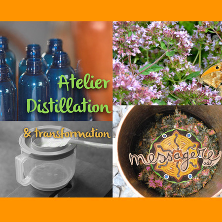 Distillation de plantes et eaux florales (Atelier – Anlier)