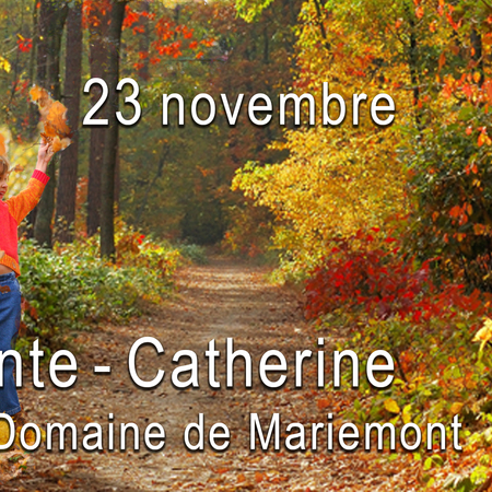 Journée Ste-Catherine au Domaine de Mariemont