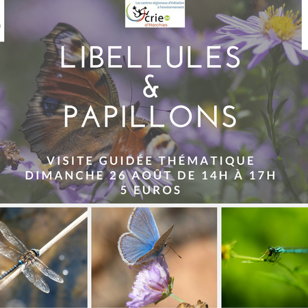 Libellules et Papillons - Visites Guidées Thématiques