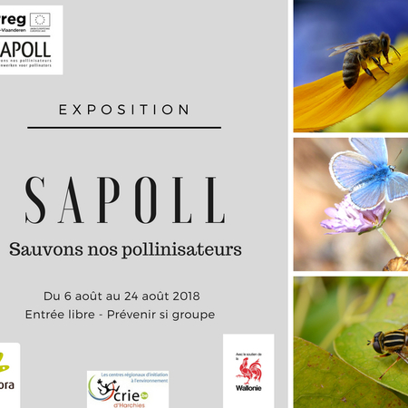 Projet Sapoll - Sauvons nos pollinisateurs
