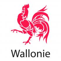 image LOGO_WALLONIE_DEFINITIF.jpg (0.9MB)